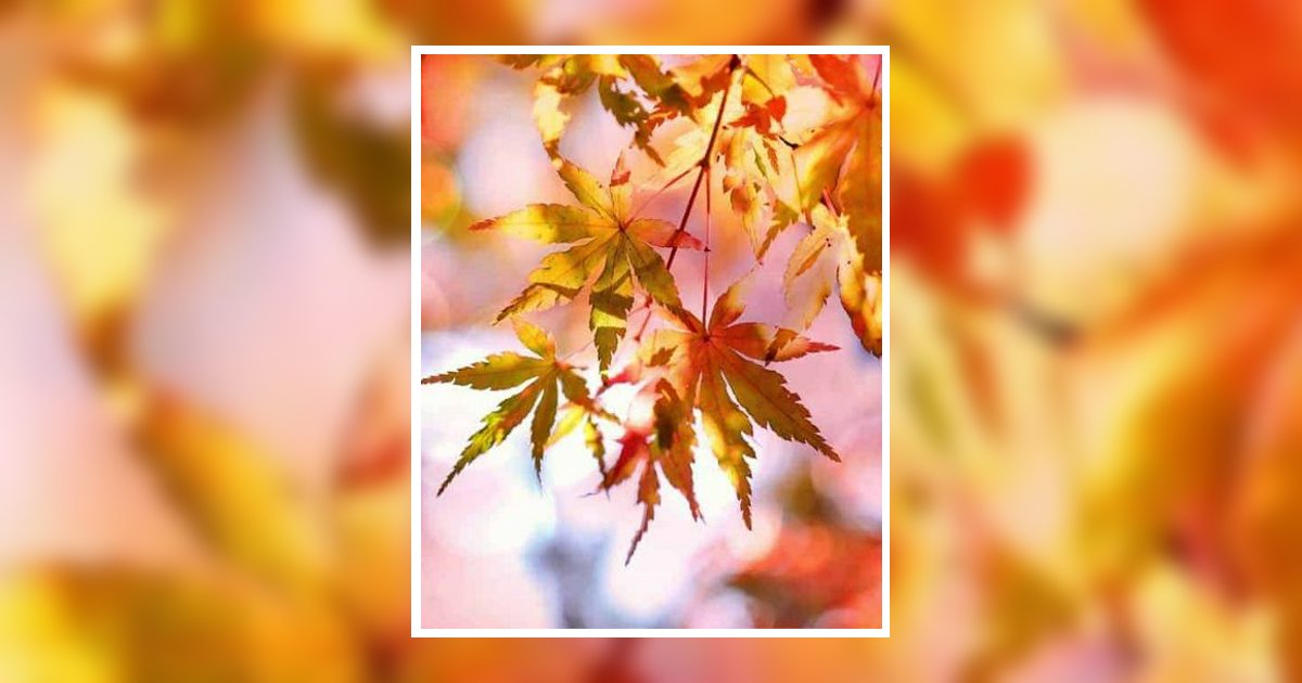 Cynthia Runken Williams Obituary, Savannah, TN