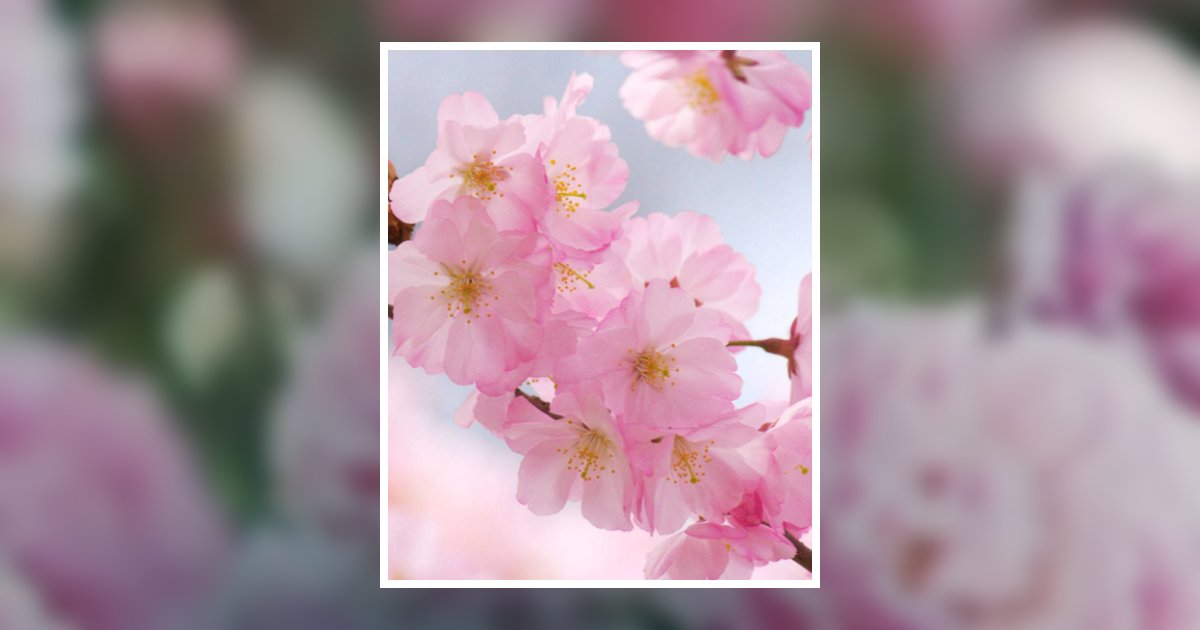 Natalia Saenz Gay Obituary, Rio Grande City, TX