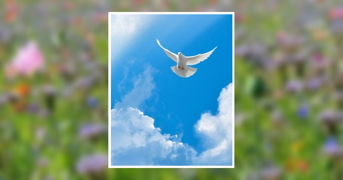 Anita Tubb Ricketts Obituary, Smithville, MS