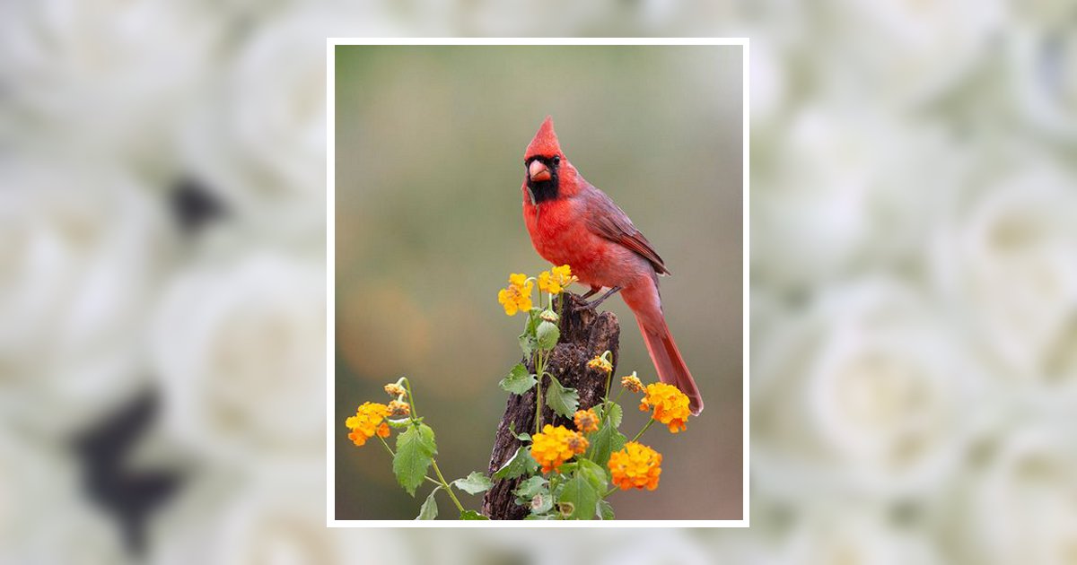 Loretta R. Linn Obituary, West Palm Beach, FL