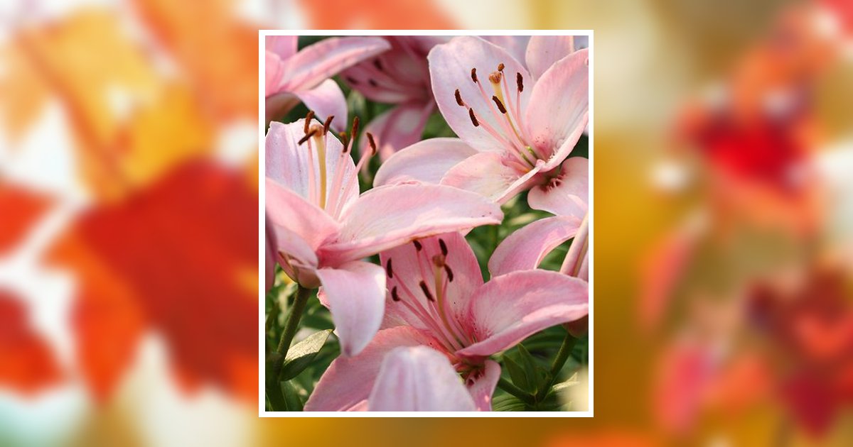 Sharon Kay Spuhler Obituary, Lexington, NE