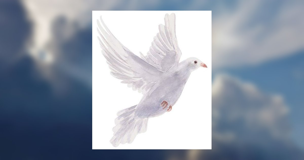 Caroline Mckellar Brunson Ward Obituary, Hillsborough, NC