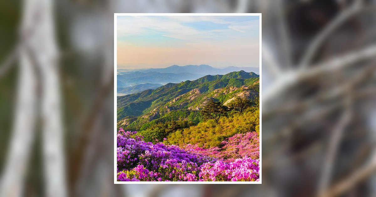 Barbara Faye Maxwell