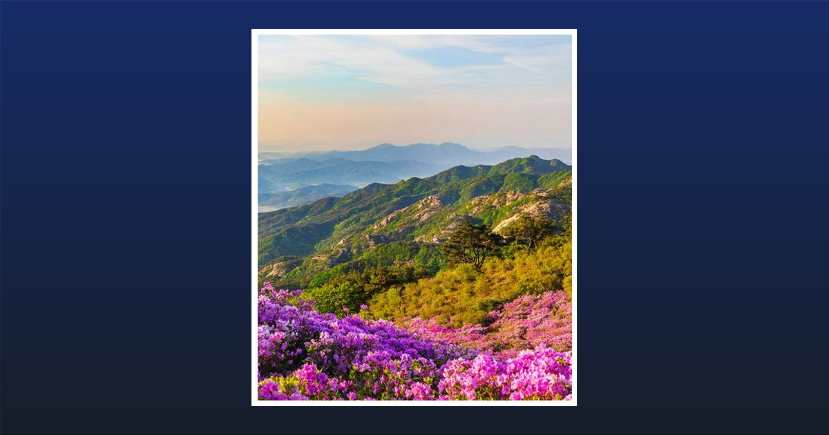 Margaret Walters Obituary, Aston, PA