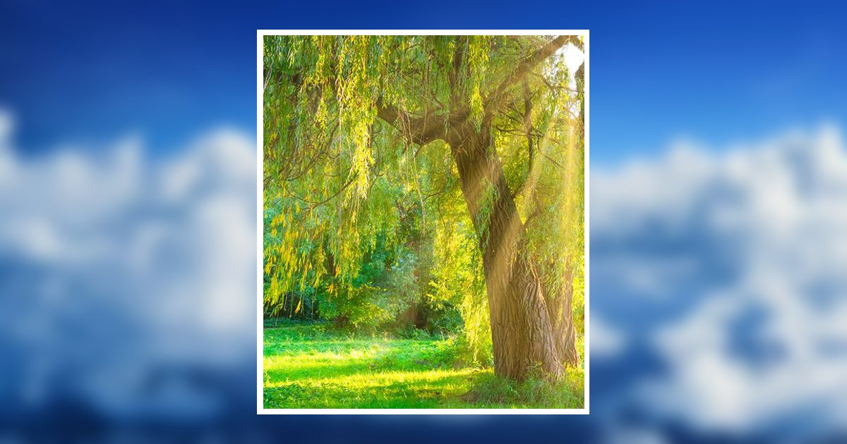 Richard A. Krajnak Obituary, Howards Grove, WI