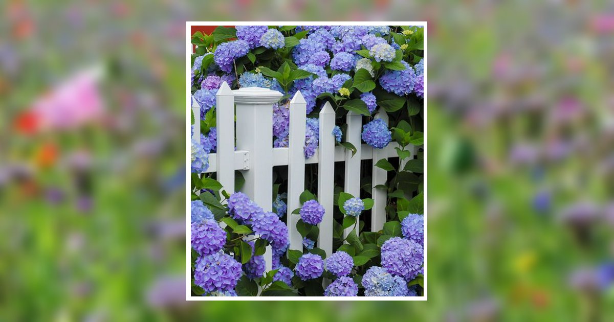 Rachel Savage Columbus, GA Obituary