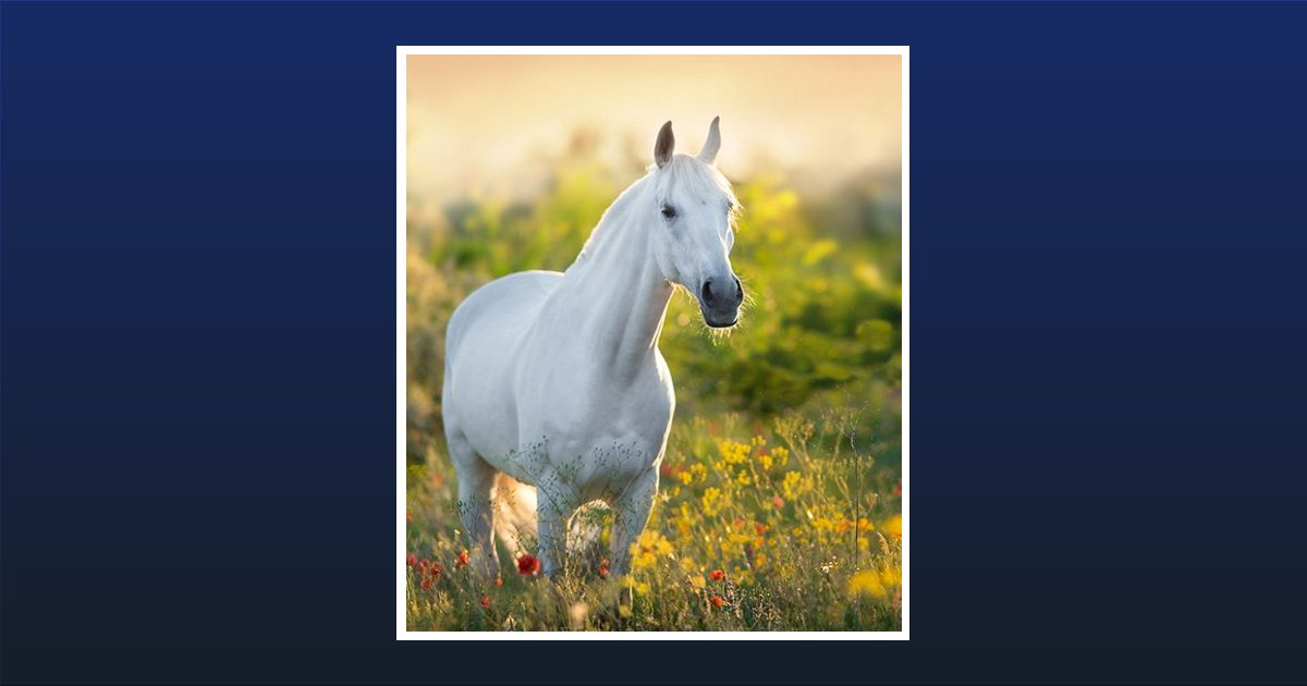 William Thompson Obituary, Raleigh, NC