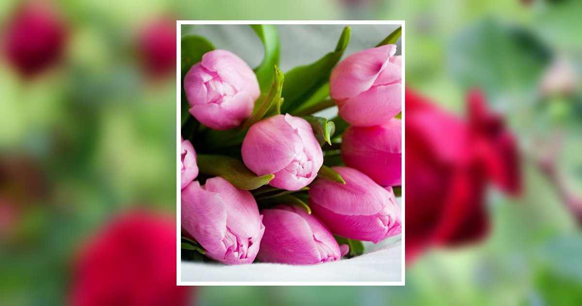 Carol A. Lazar Barberton, OH Obituary