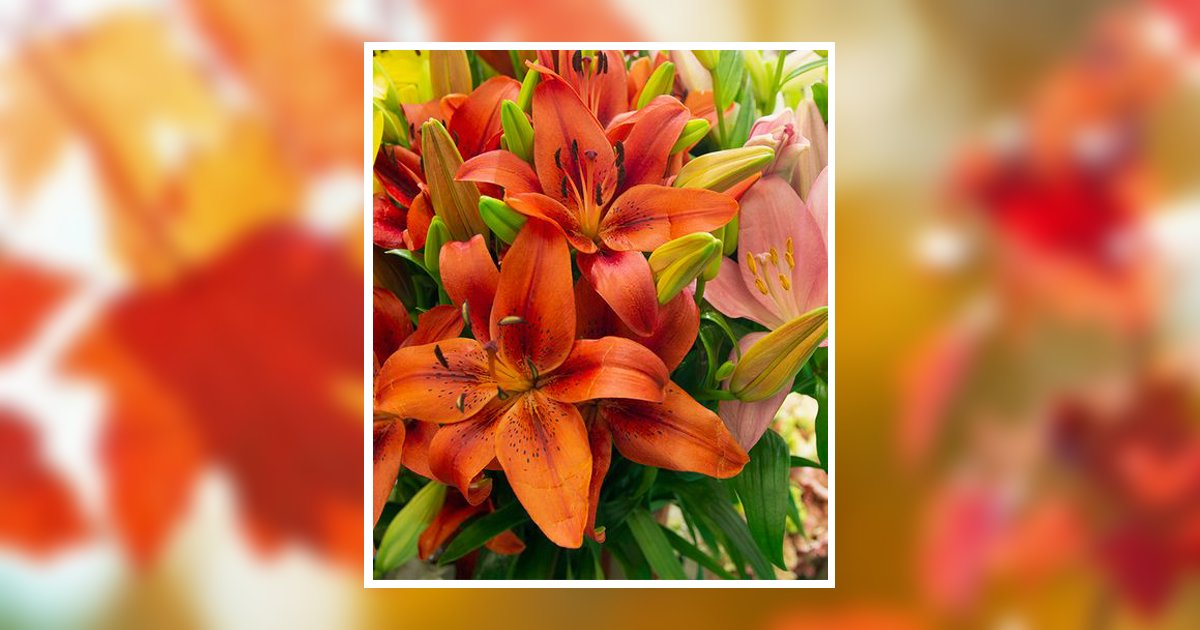 Geraldine Dail Obituary, Raleigh, NC