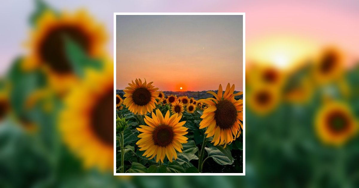 Beverly Vorous Obituary, Meadville, PA