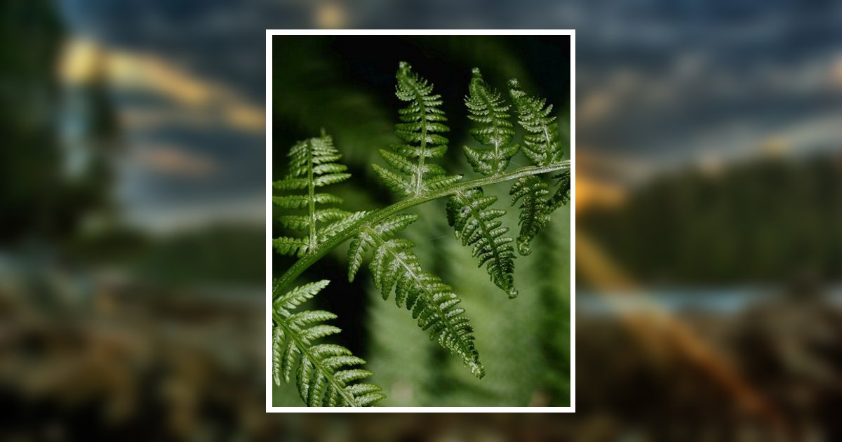 William Clifford Beddingfield Obituary 2023 BradfordO'Keefe Funeral