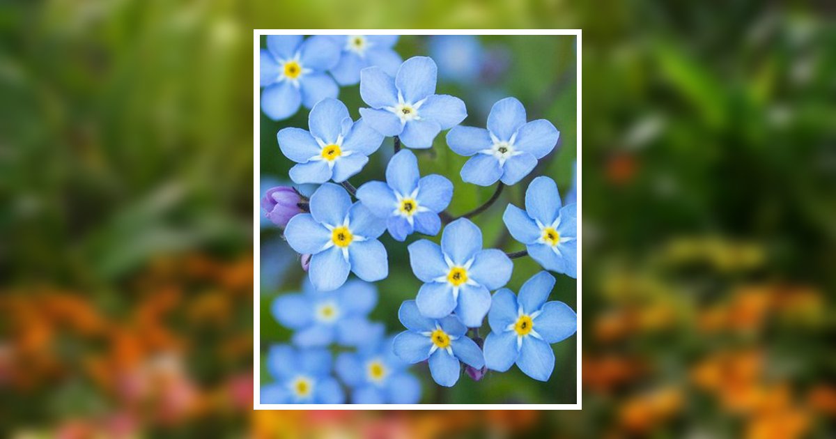 Dorothy Ann Evans Knowles