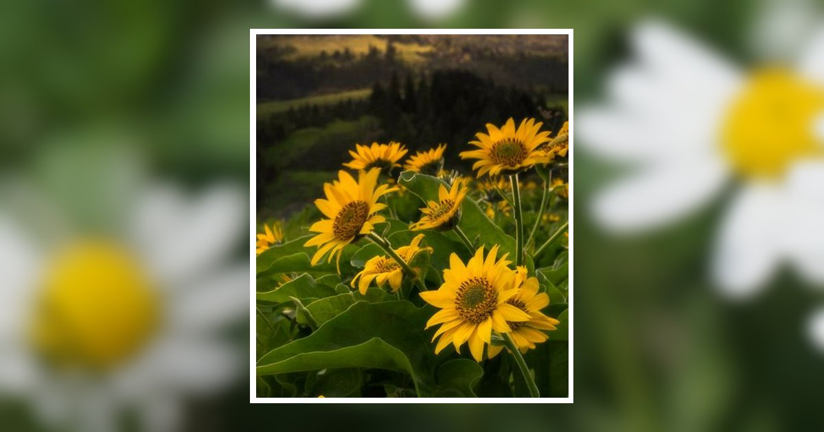 Mable Woods Obituary, Nashville, TN