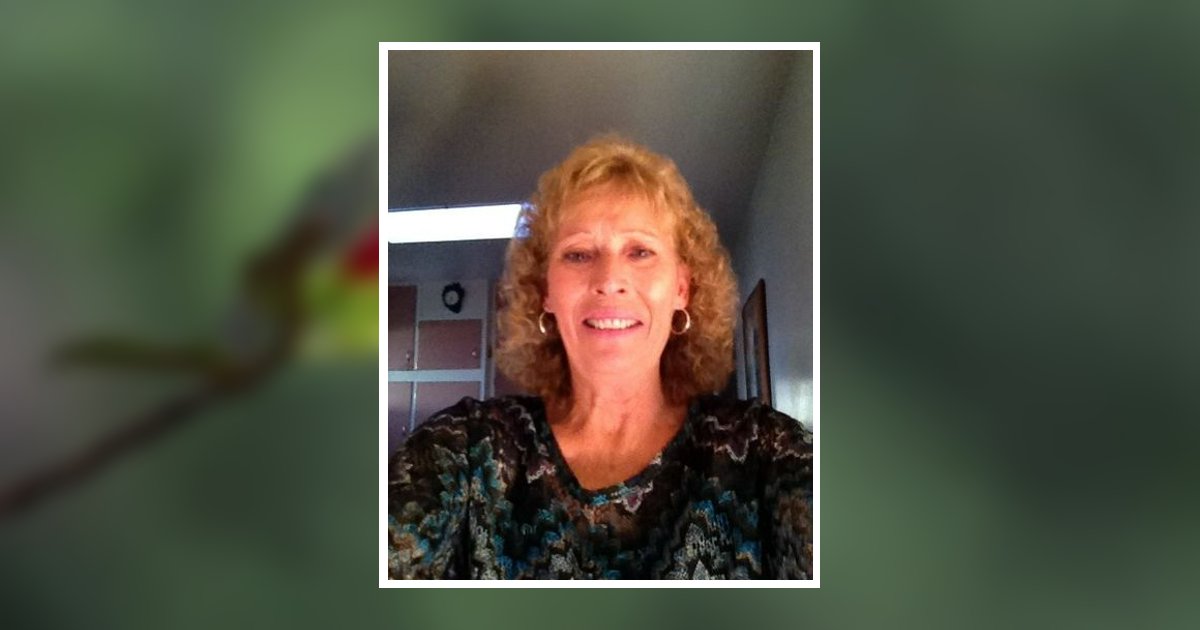 Cindy Ann Johnson Montrose, CO Obituary