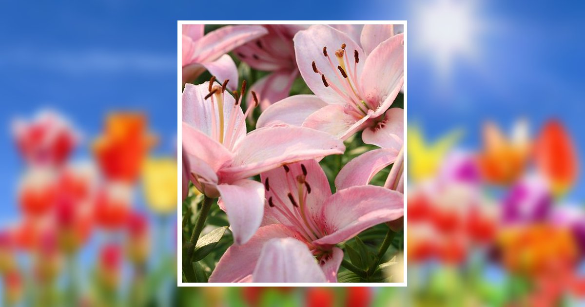 Gail Richards Obituary, Detroit Lakes, MN