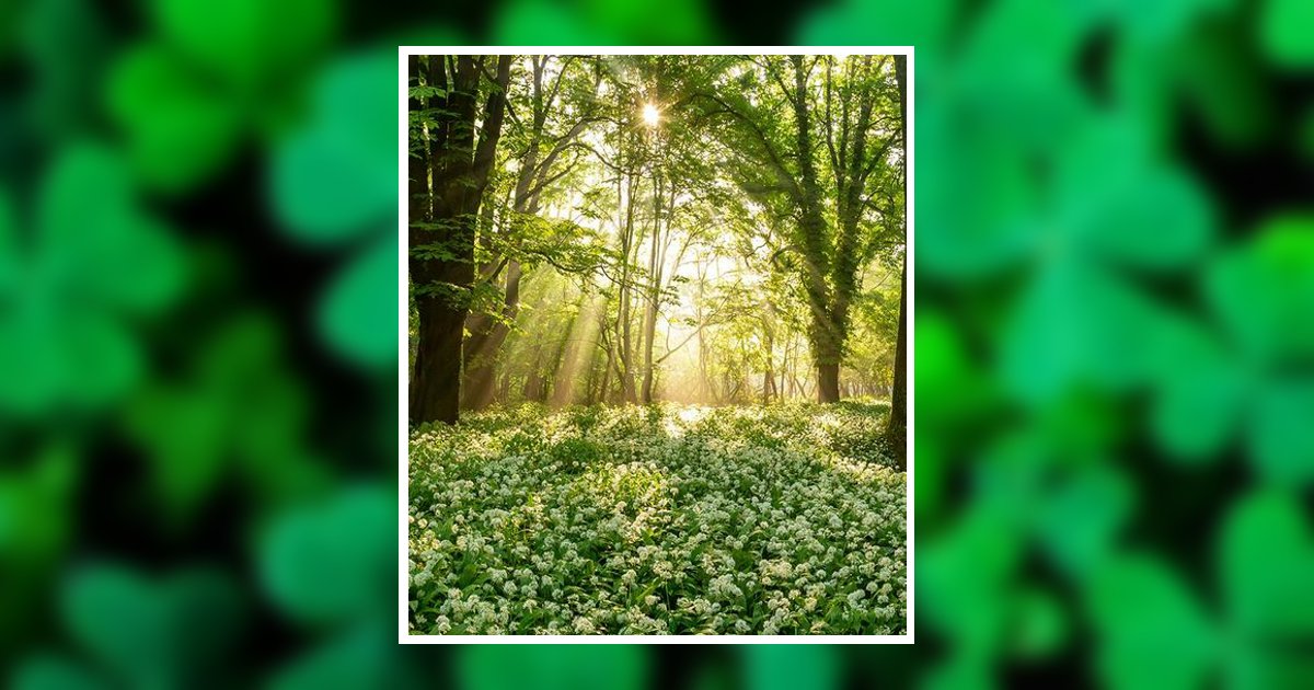 Picture Scott Everett Williams Cheyenne, WY Obituary