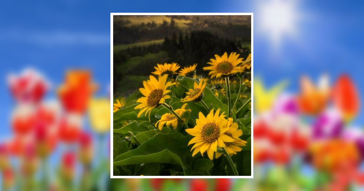 Judy Marie Hoolsema Obituary, Augusta, MI