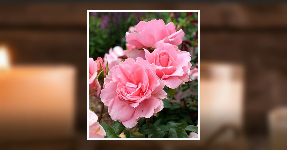 Connie Lee Follis Obituary, Greenville, TX