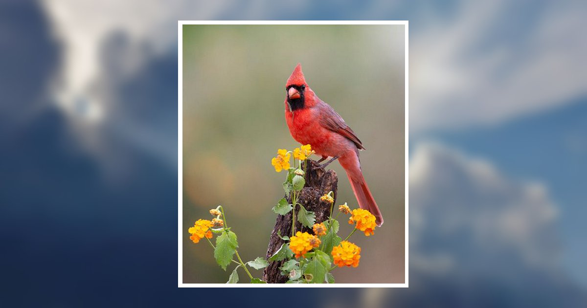 Virginia Vonderlieth Obituary, Atco, NJ