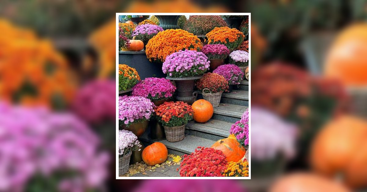 Diona Miller Obituary, Waynesboro, TN