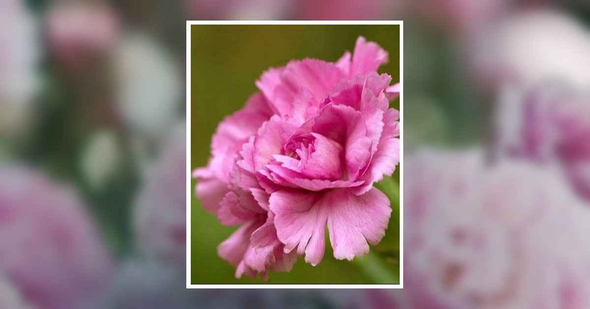 Helen K. Weddle Obituary, Post Falls, ID