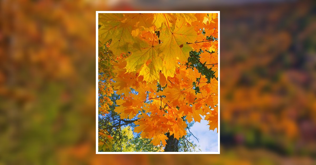 Charles Farris Obituary, Bowling Green, KY