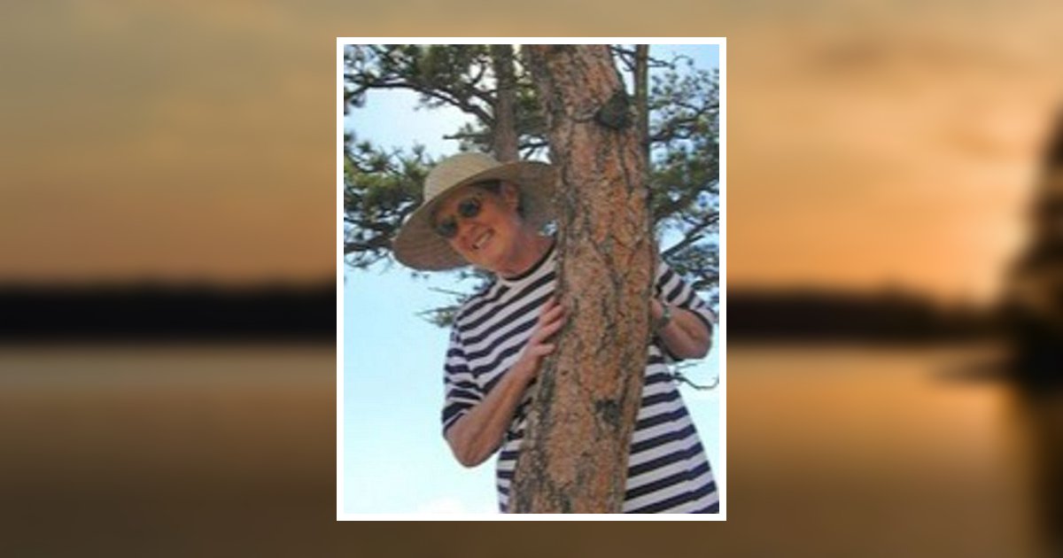 Ellavern Adcock Obituary 2023 Ertel Funeral Home