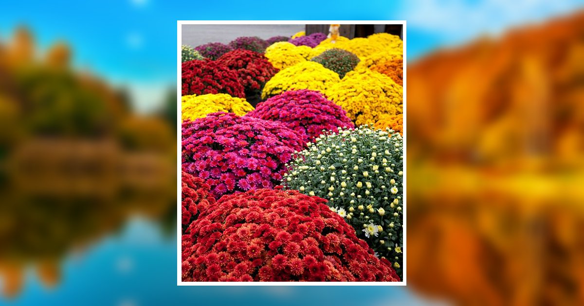 Ruth Anderson Farmville, VA Obituary