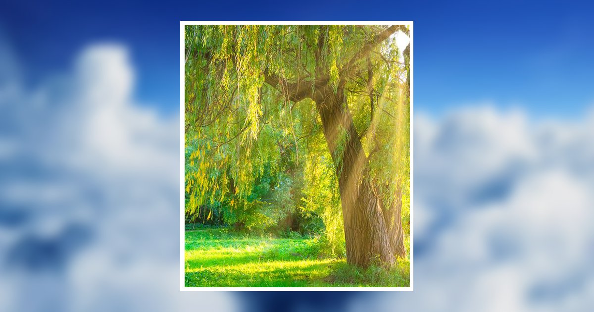 Michael Jack Schroeder Obituary, Anthony, FL