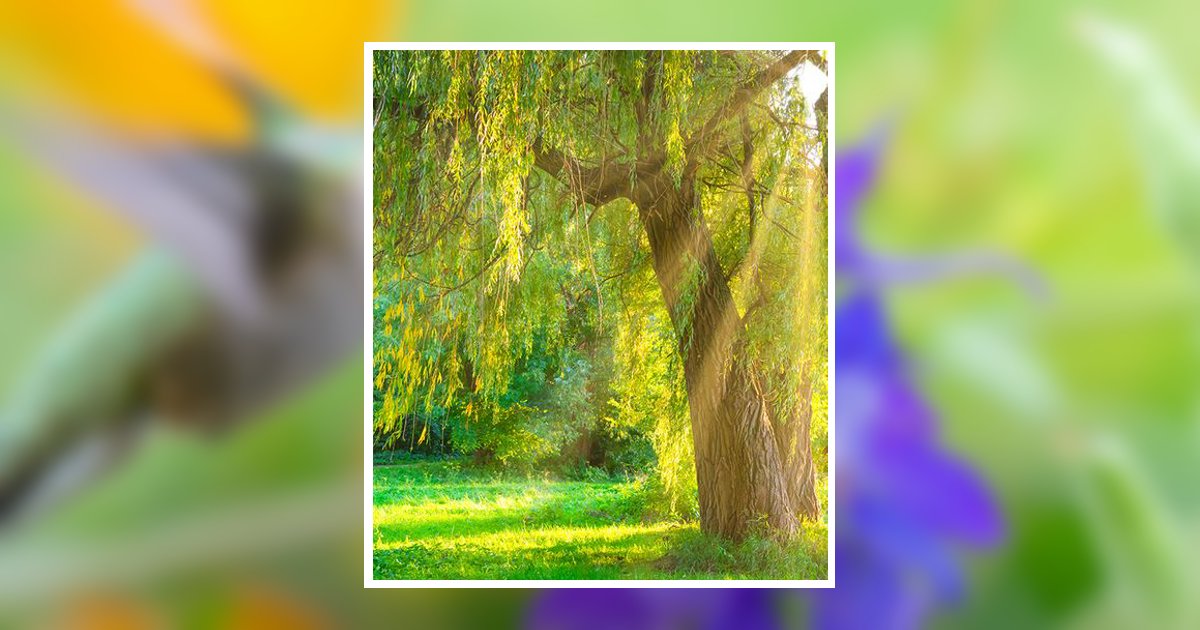 Elizabeth Ann Summerlin Obituary, Clanton, AL