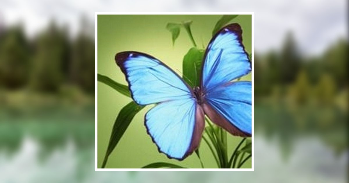 Joseph Patrick Zapf Obituary, Port Vue, PA