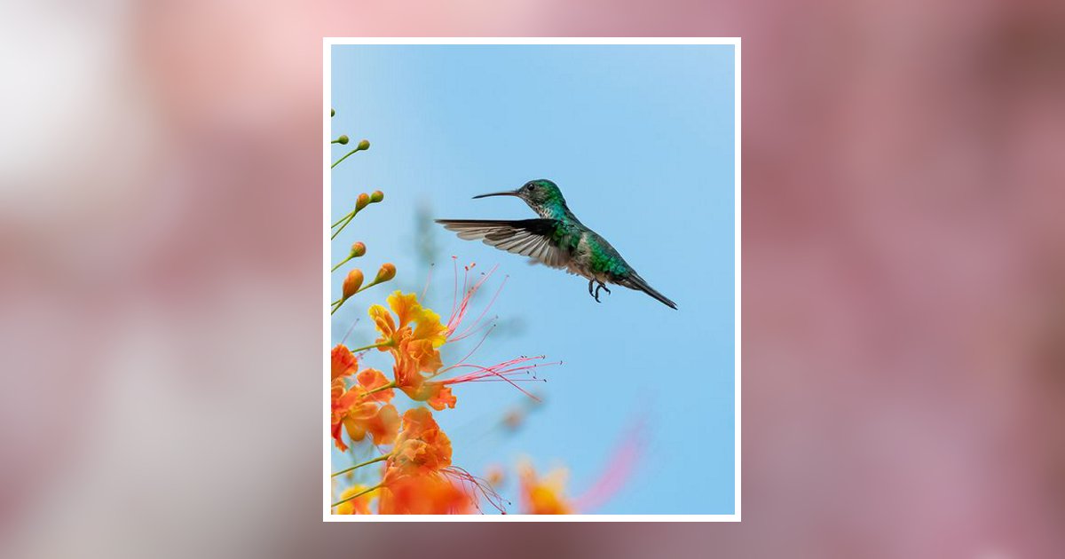 Rita M. Spah Obituary, La Crosse, WI