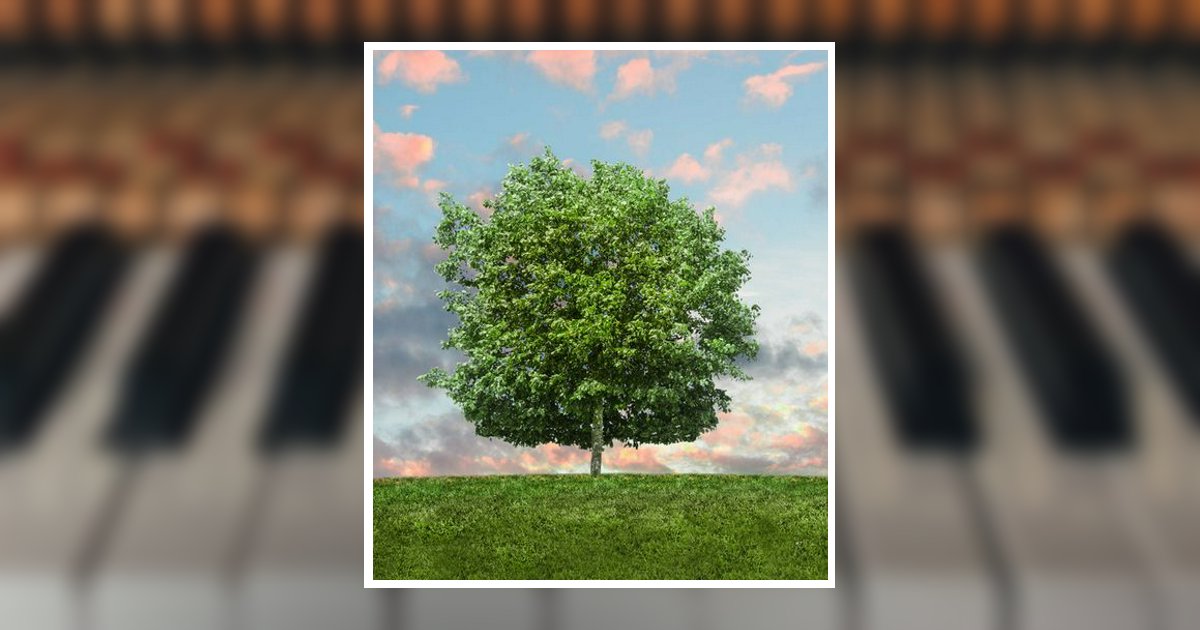 Karla A. Turton Obituary, Springfield, OH