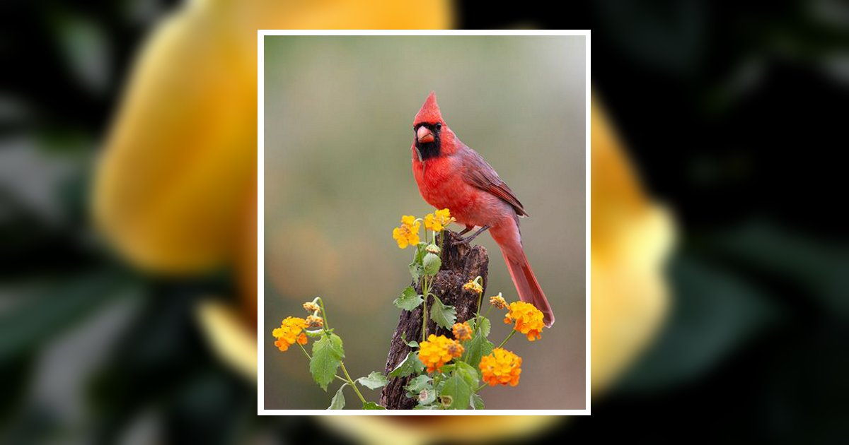 Corina Isabel Salguero