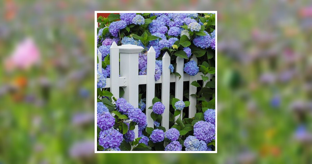 Frances Rost Obituary, Smithville, MS