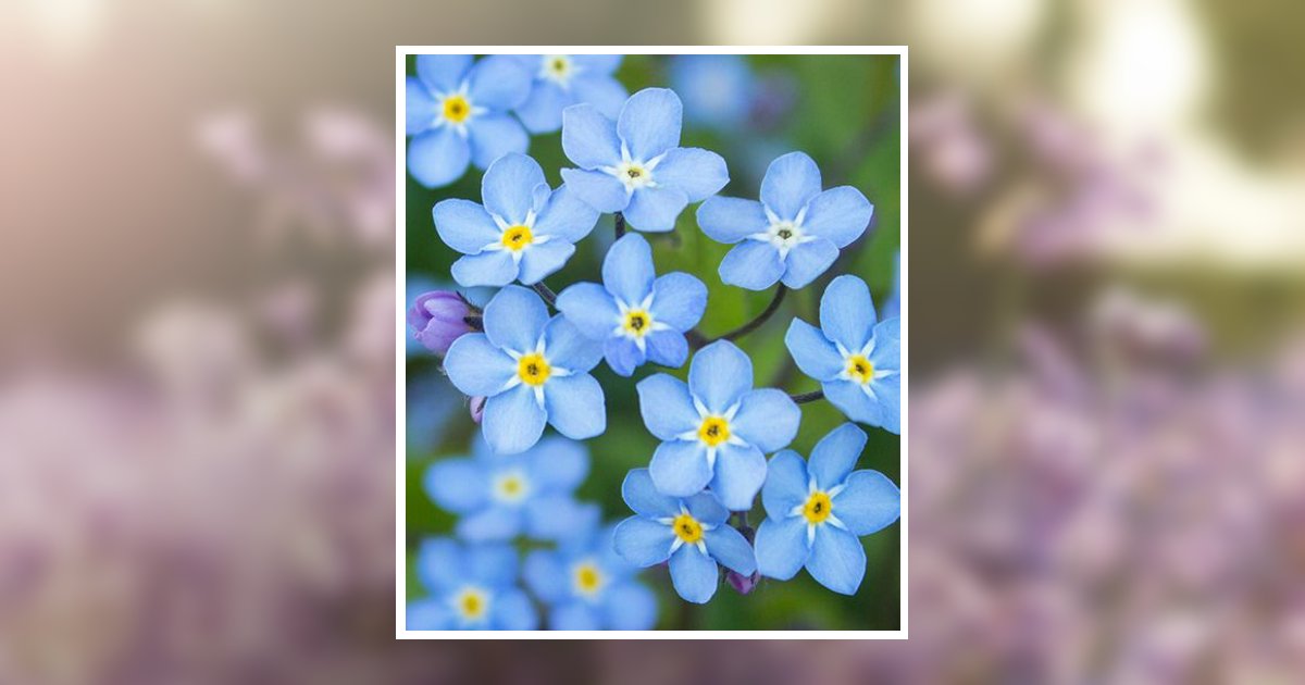 Barbara E. Capuzzi Crystal Lake, IL Obituary