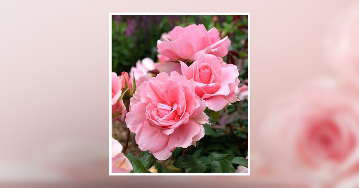 Nelwyn Cryer Faulkner Obituary, DeRidder, LA