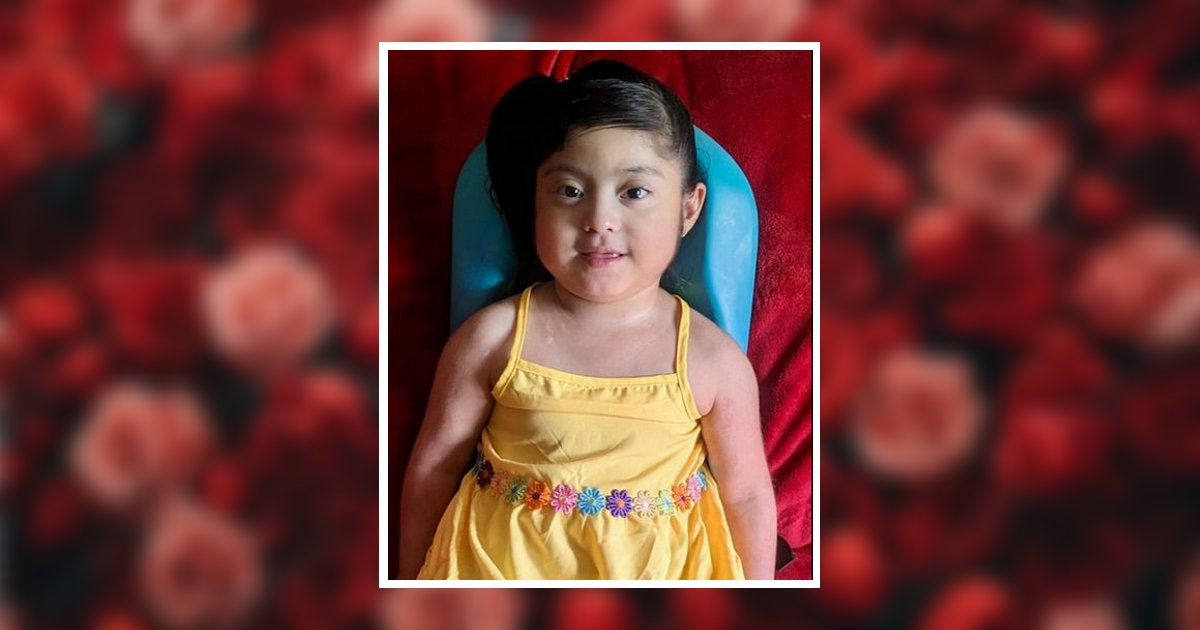 Alina Yamileth Andres Andres Obituary, Dover, OH