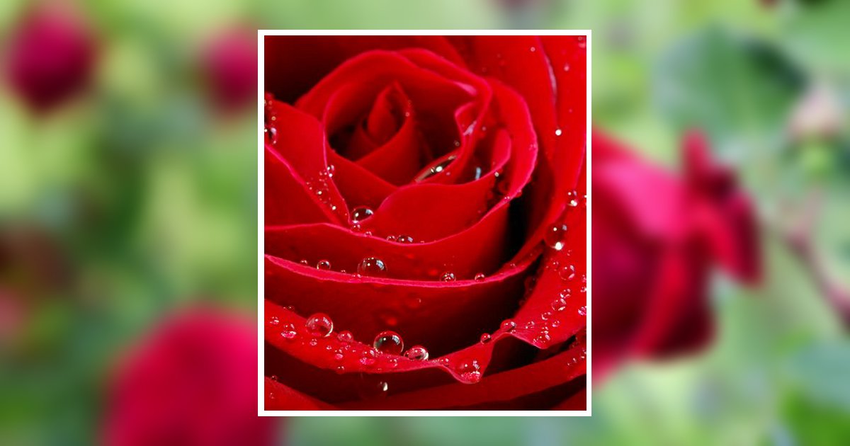 Alice "Whitney" Osburn Obituary, Meridian, MS