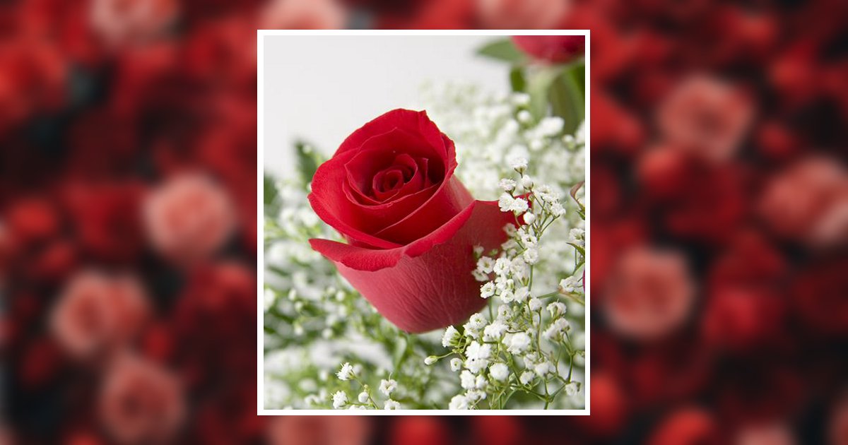 Judy Sasek Obituary, Lewisburg, TN