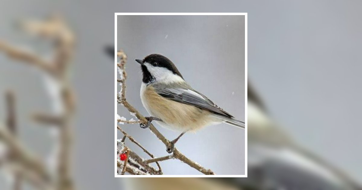 Floyd Wayne "Buch" Grubb Marion, VA Obituary