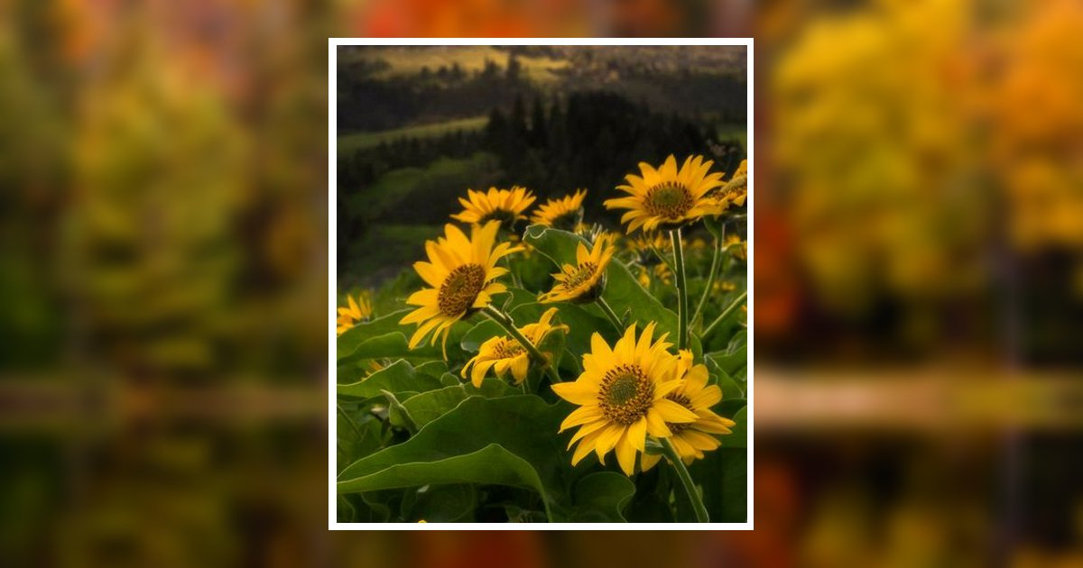 Katherine Payne Obituary, North Logan, UT