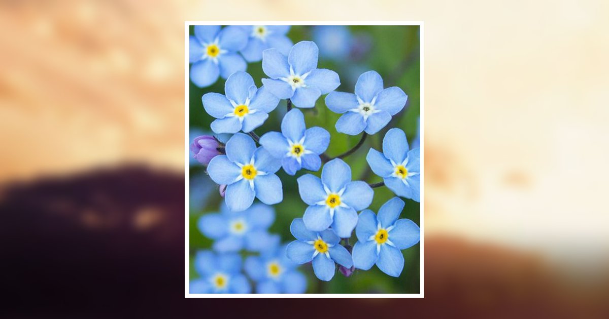 Marthe M. Woods Obituary, Milford, NH