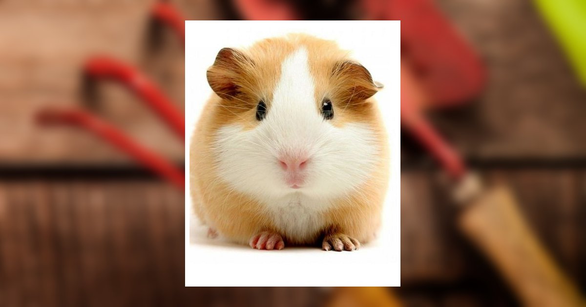 Eric Lee Zink Palmyra, PA Obituary