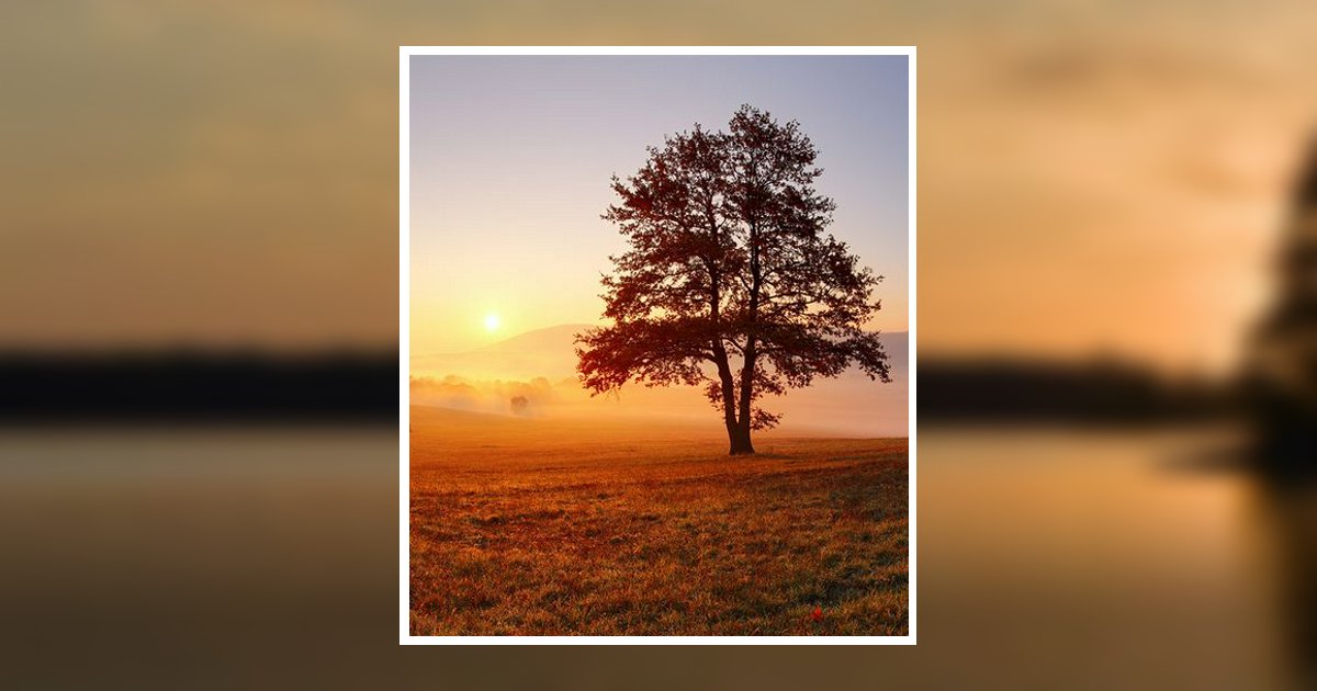 Kyle Ray George Obituary, Odessa, MO