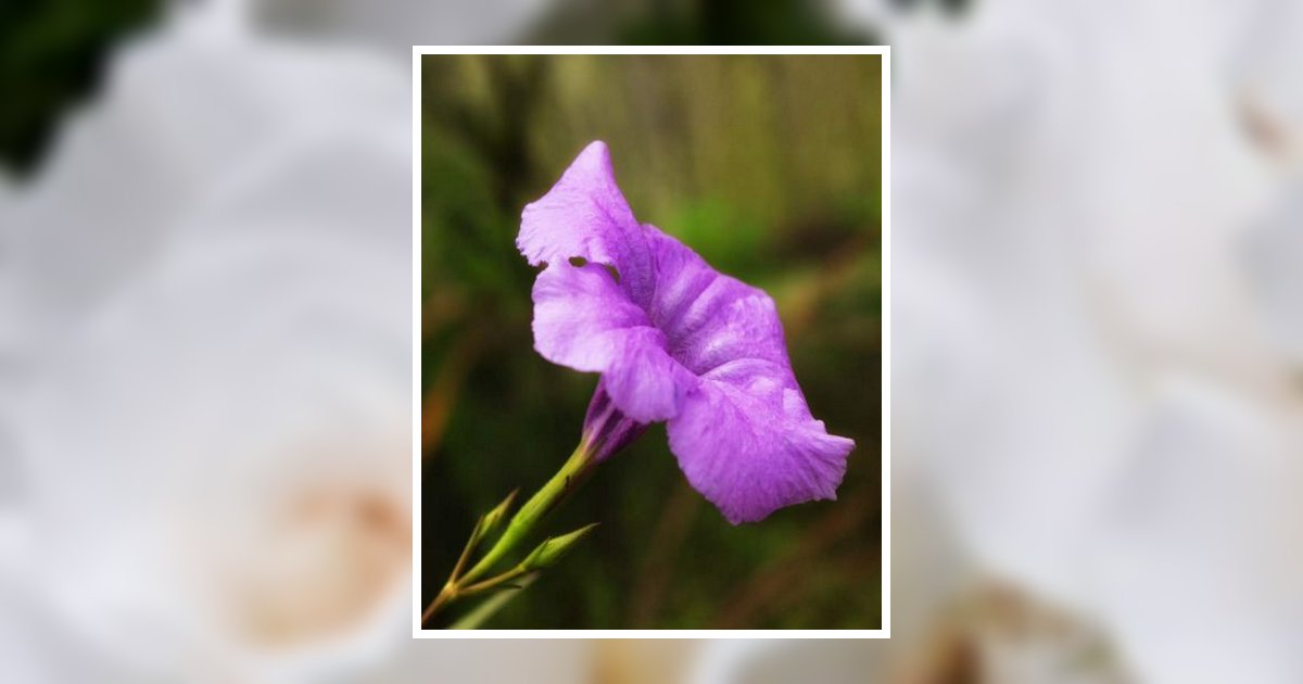 Carla Jean Goodman Obituary, Linesville, PA