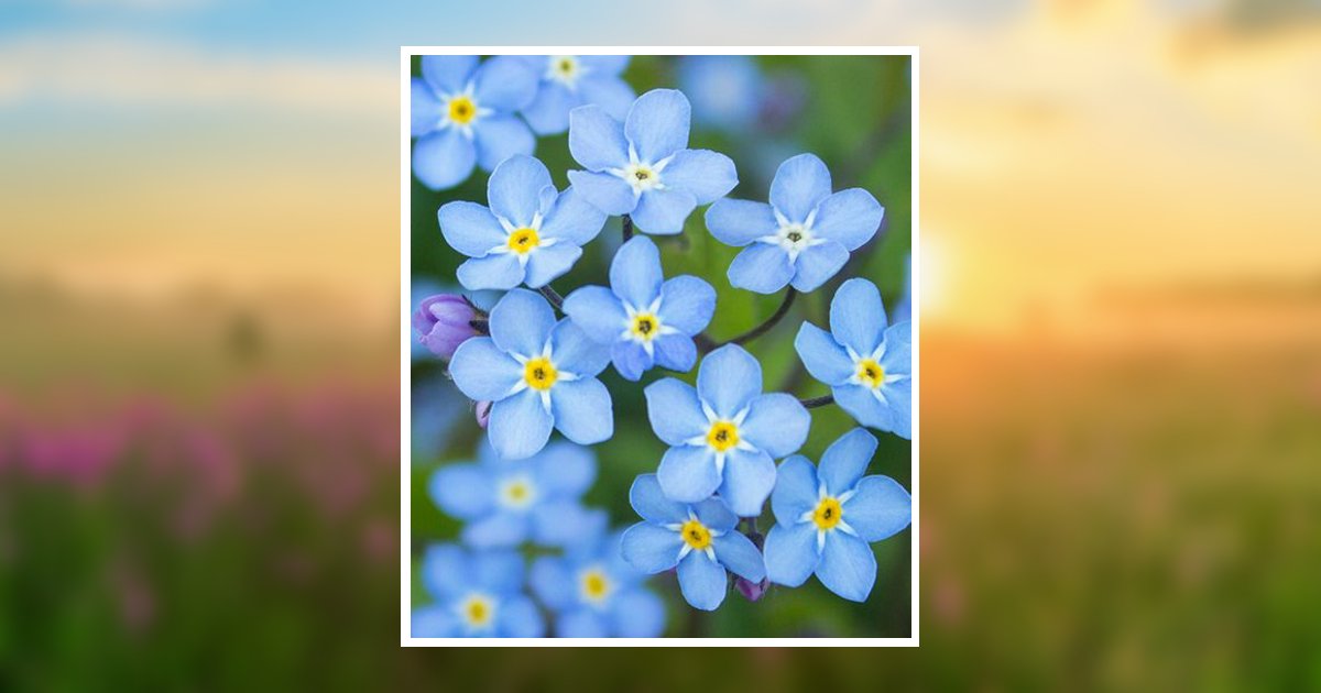 Mary Watts Obituary, Marietta, GA
