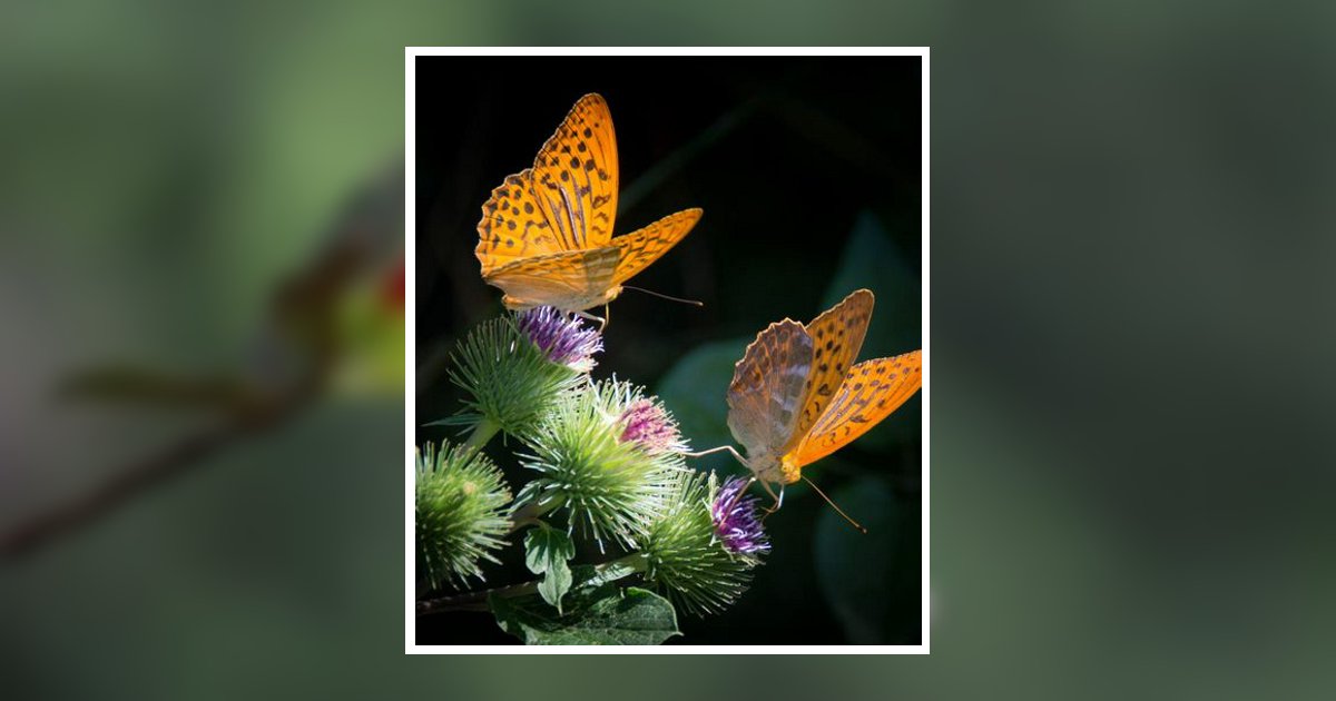Mary Ellen Powell Obituary, Mathews, VA