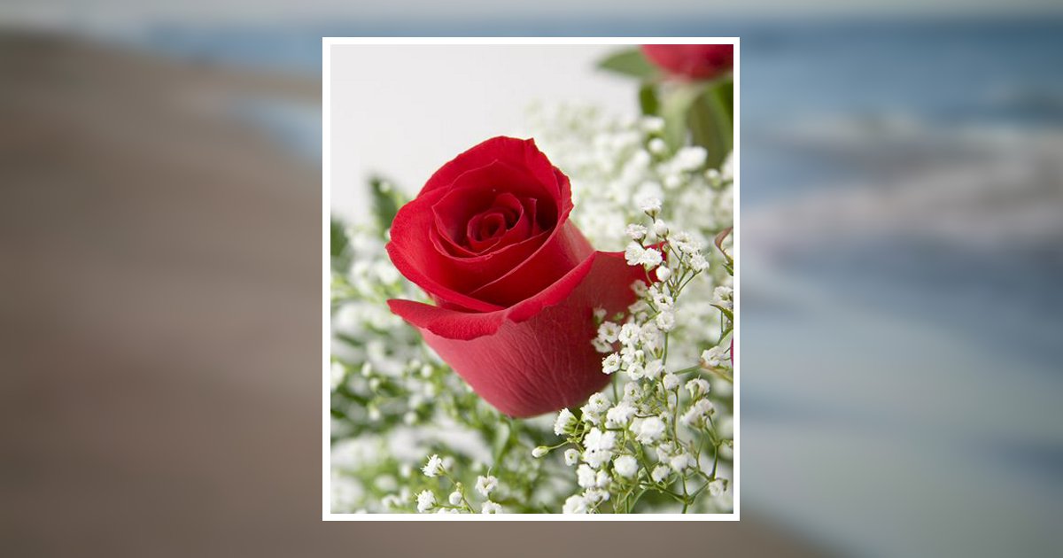 Barbara Anne Hayes Obituary, Asheville, NC