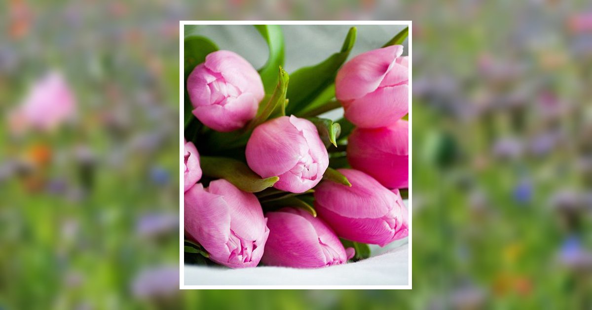 Ruby Mcgee Obituary, Thomasville, GA